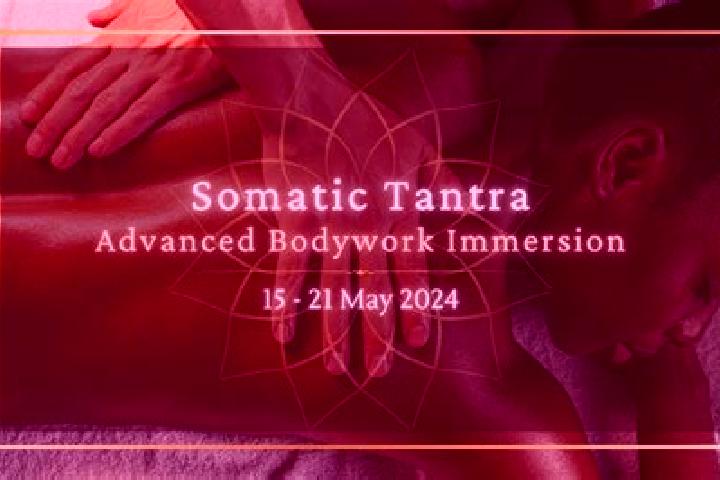 Sofia, 31, a black brown-eyed caucasian companion based in Vinne. Offering Tantra, Prostate Massage, CIM, Roleplay, Erotic Massage. Available for incall and ...