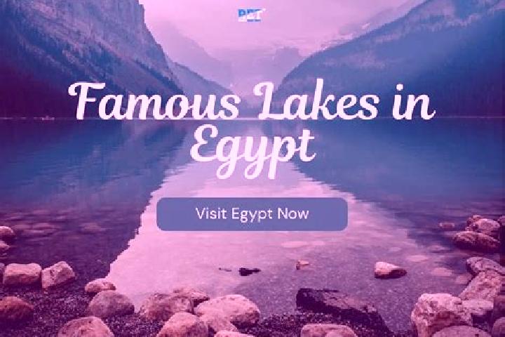 Sofia, 31 — Escort in Al Qusiyah, Egypt