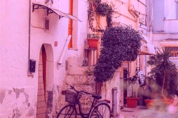 Sofia, 31 — Escort in Sammichele di Bari, Italy