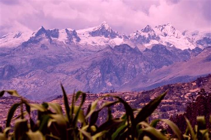 Sofia, 31 — Escort in Vicos, Peru