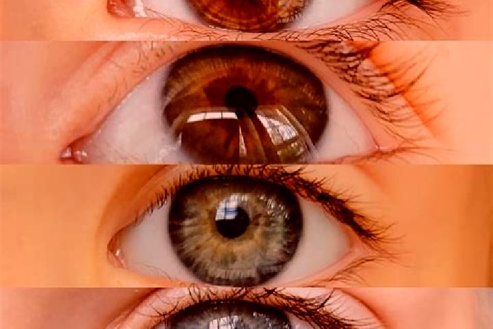 Sofia, 32, a chestnut grey-eyed middle eastern companion based in Colico Piano. Offering GFE, Prostate Massage, Domination. Available for incall and outcall,...