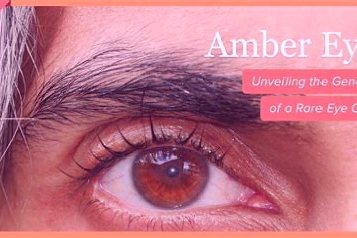 Sofia, 32, a red amber-eyed caribbean companion based in Ayapamba. Offering OWO, Erotic Massage, Fetish. Available for incall and outcall, overnight bookings...