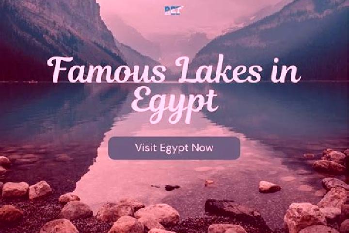 Sofia, 32 — Escort in As Siba iyah, Egypt