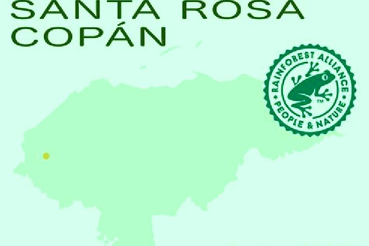 Sofia, 32 — Escort in La Rosa, Honduras
