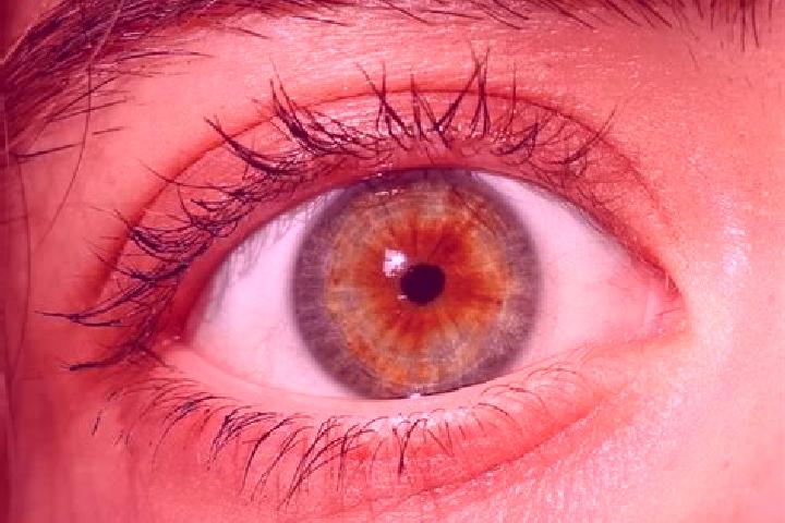 Sofia, 33, a red hazel-eyed mediterranean companion based in Tolono. Offering Tantra, A-Level, OWO, Striptease. Available for incall and outcall, day and eve...