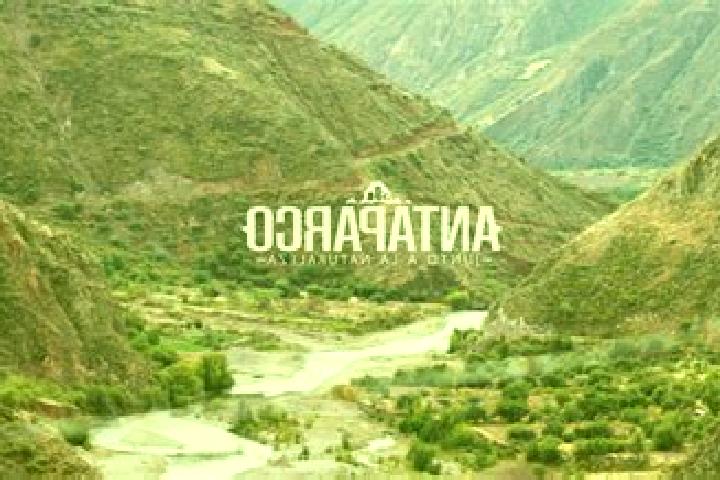 Sofia, 33 — Escort in Antaparco, Peru