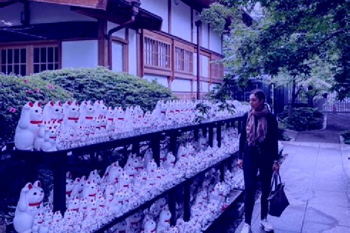 Sofia, 33 — Escort in Gotokuji, Japan