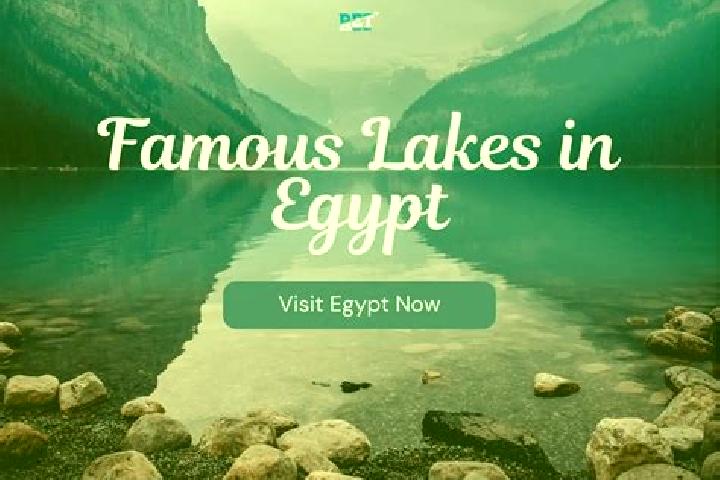 Sofia, 33 — Escort in Munsha at Abu Umar, Egypt