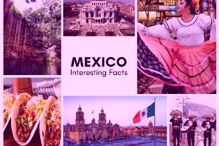 Sofia, 34 — Escort in Monte Prieto, Mexico