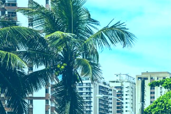 Sofia, 34 — Escort in Vista Alegre do Prata, Brazil