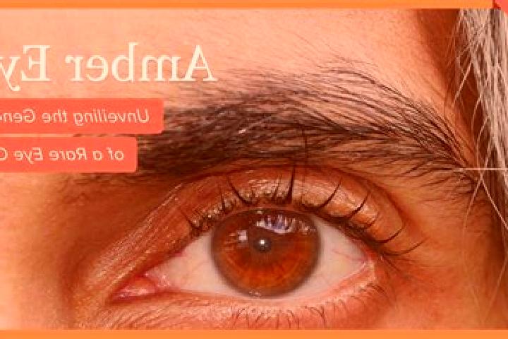 Sofia, 35, a red amber-eyed mixed companion based in Al Hamzah. Offering OWO, Prostate Massage, Roleplay, 69, Duos. Available for incall and outcall, overnig...