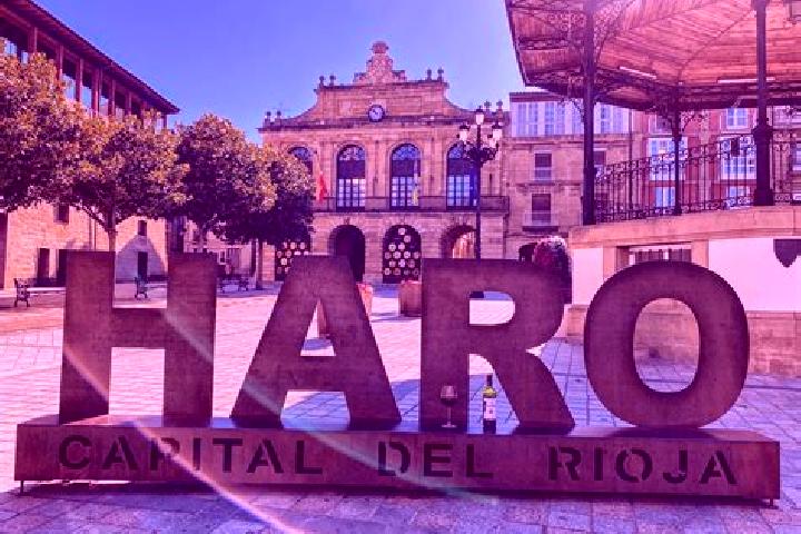 Sofia, 35 — Escort in Carrascosa de Haro, Spain
