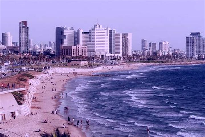 Sofia, 35 — Escort in Judeida Makr, Israel