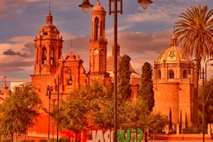 Sofia, 35 — Escort in La Zacatecana, Mexico