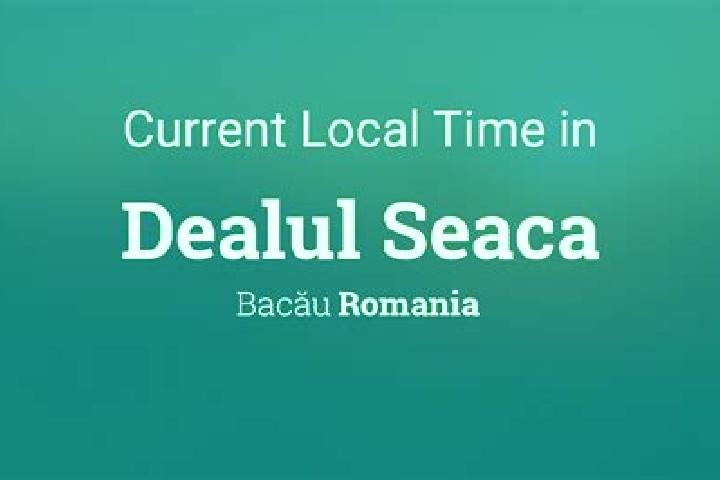 Sofia, 35 — Escort in Seaca, Romania