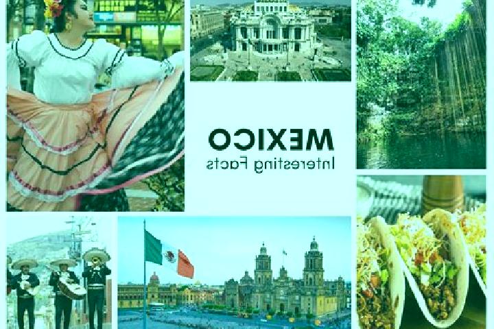 Sofia, 35 — Escort in Siempre Viva, Mexico