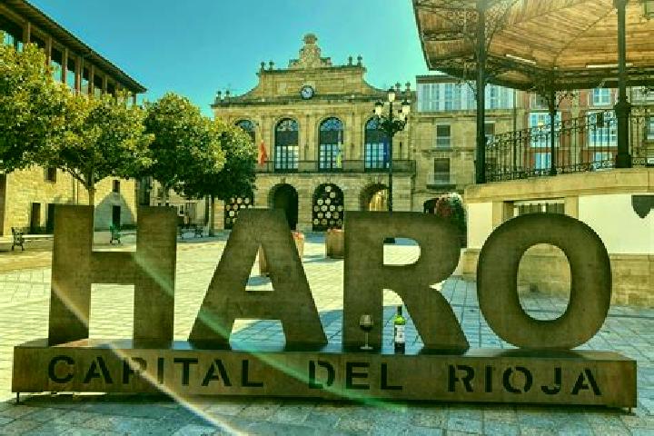 Sofia, 36 — Escort in Carrascosa de Haro, Spain