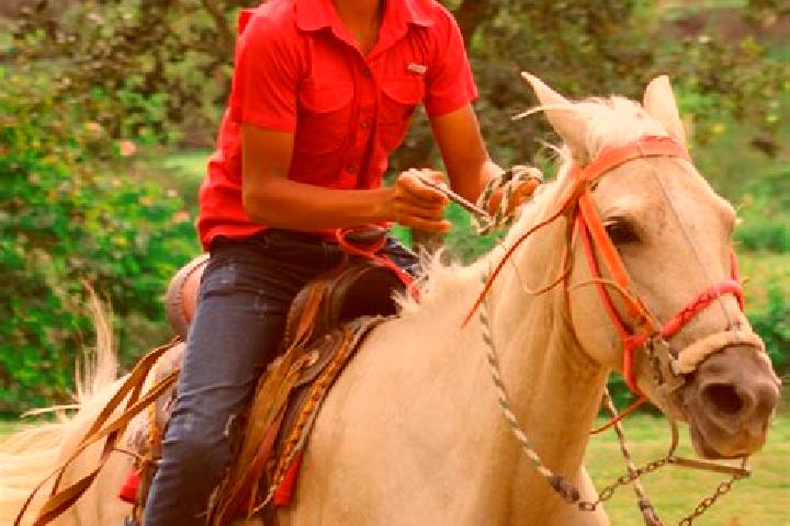 Sofia, 36 — Escort in Guaimaca, Honduras