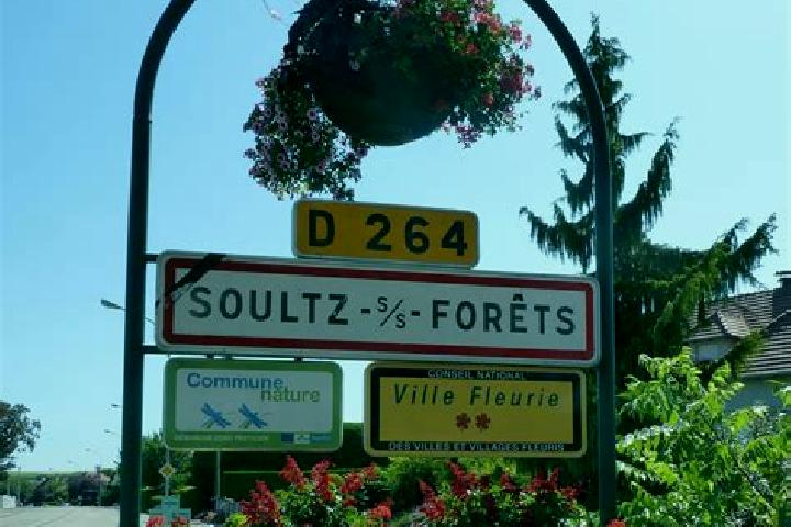 Sofia, 36 — Escort in Soultz-sous-Forets, France