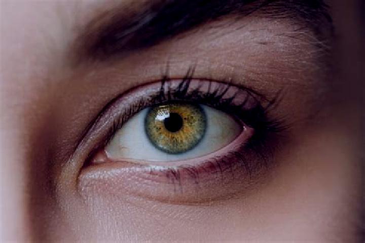 Sofia, 37, a chestnut hazel-eyed mixed companion based in Syas stroy. Offering OWO, Overnight, Dinner Date. Available for incall and outcall, overnight booki...
