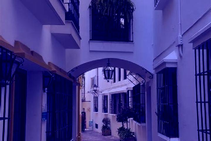 Sofia, 37 — Escort in Altarejos, Spain