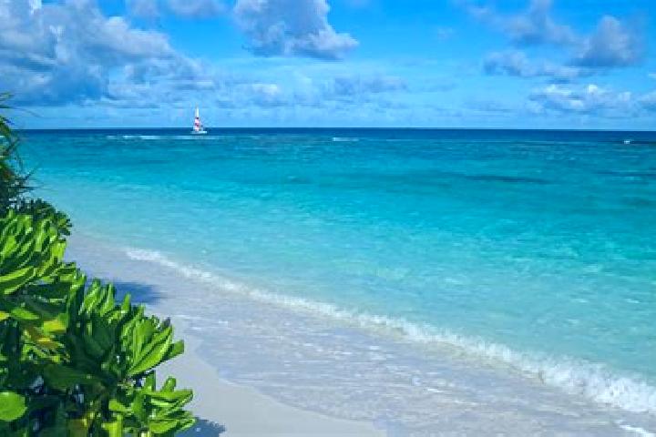 Sofia, 37 — Escort in East End, Cayman Islands