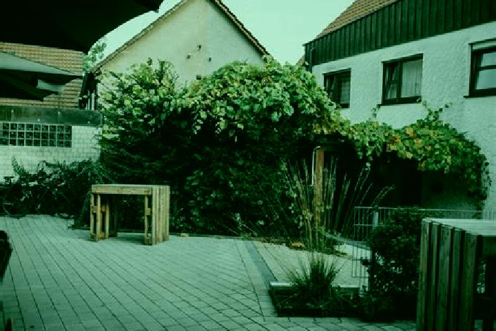 Sofia, 37 — Escort in Ellhofen, Germany