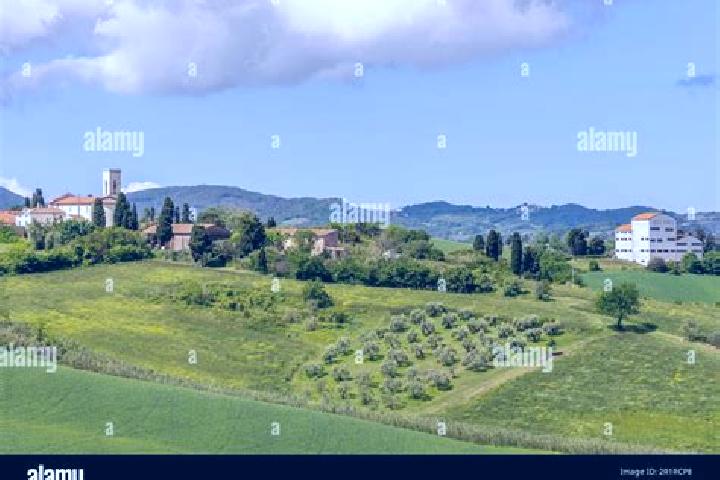 Sofia, 37 — Escort in Orciano Pisano, Italy
