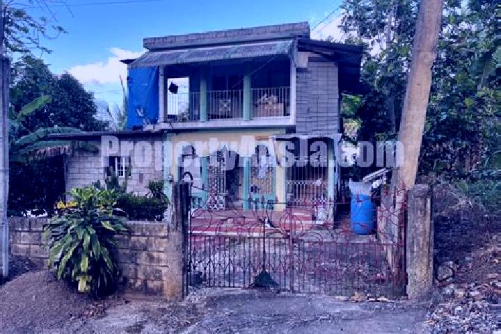 Sofia, 37 — Escort in Point Hill, Jamaica