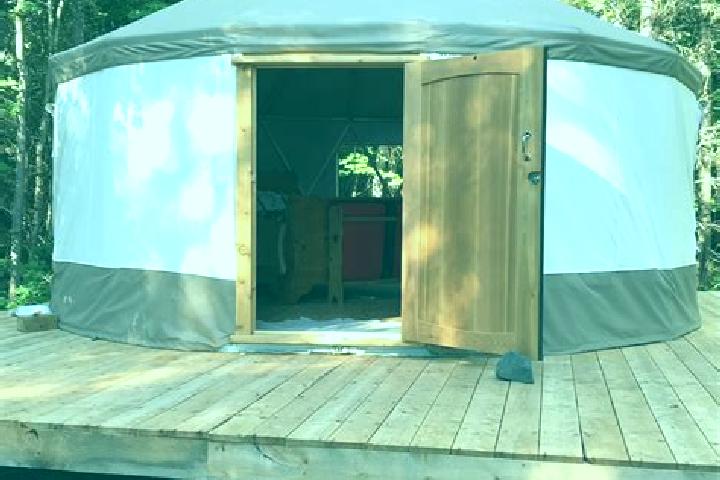 Sofia, 37 — Escort in Serzhen -Yurt, Russia