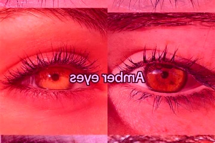 Sofia, 38, a brunette amber-eyed indian companion based in Mattenbach (Kreis 7) / Gutschick. Offering Dinner Date, Overnight, OWO. Available for incall and o...