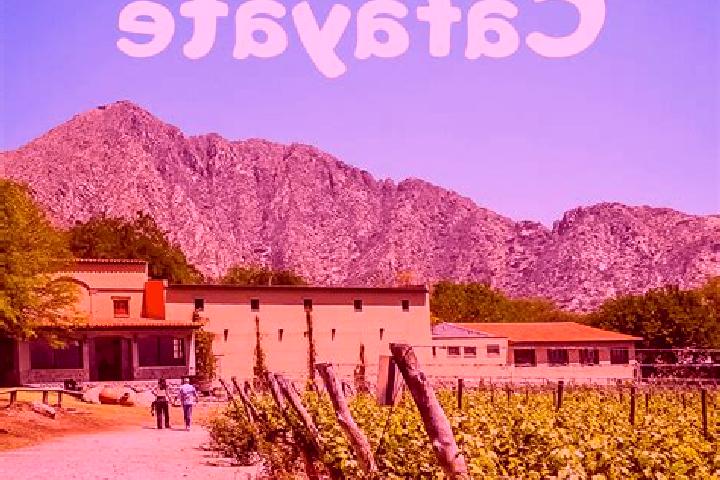Sofia, 38 — Escort in Cafayate, Argentina