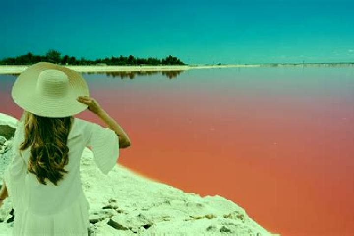 Sofia, 38 — Escort in Las Coloradas, Mexico