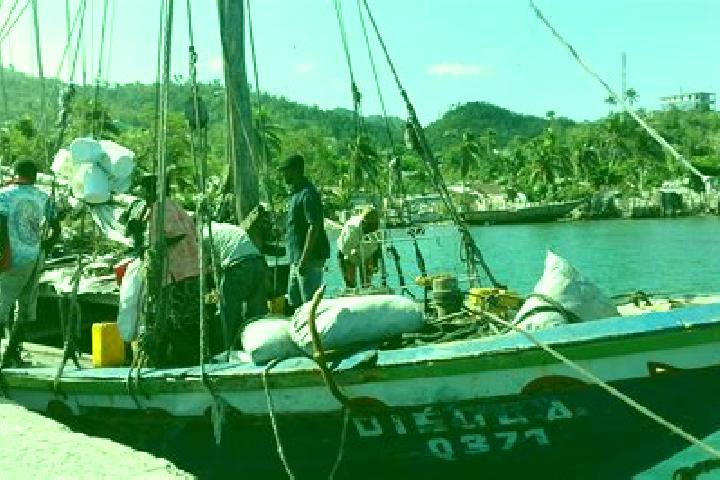 Sofia, 38 — Escort in Roche-a-Bateau, Haiti