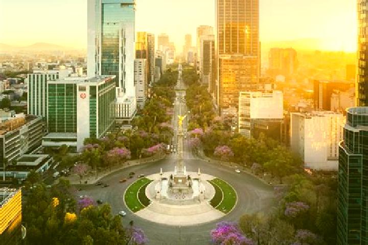 Sofia, 38 — Escort in San Pedro Yutniotic, Mexico
