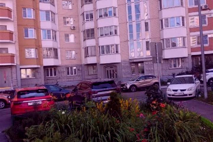 Sofia, 38 — Escort in Zheleznodorozhnyy, Russia