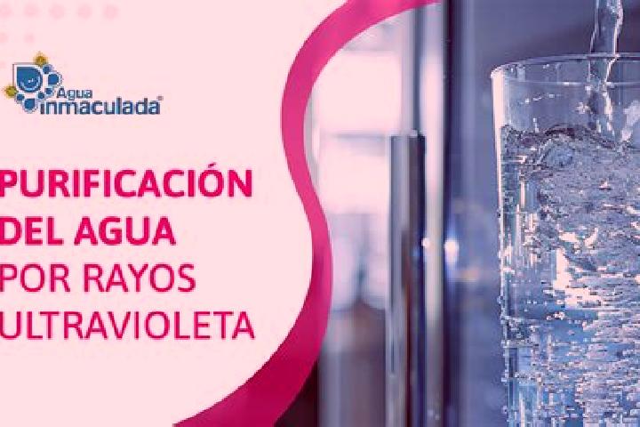 Sofia, 39 — Escort in Agua de la Rosa, Mexico
