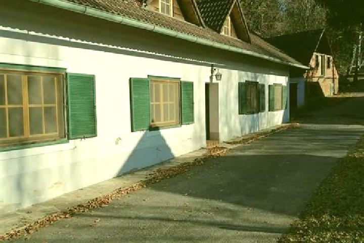 Sofia, 39 — Escort in Breitenfeld an der Rittschein, Austria