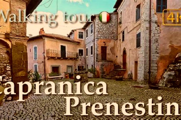 Sofia, 39 — Escort in Capranica Prenestina, Italy