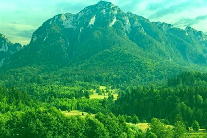Sofia, 39 — Escort in Prundeni, Romania