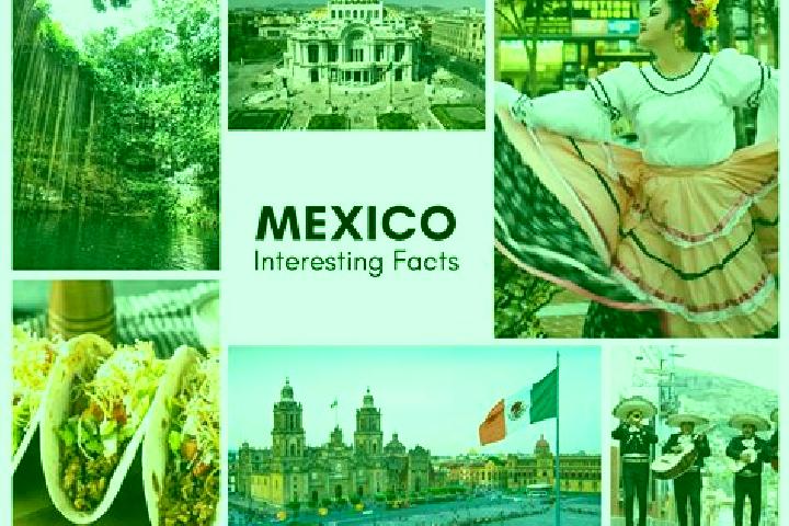 Sofia, 39 — Escort in Tatzecuala, Mexico