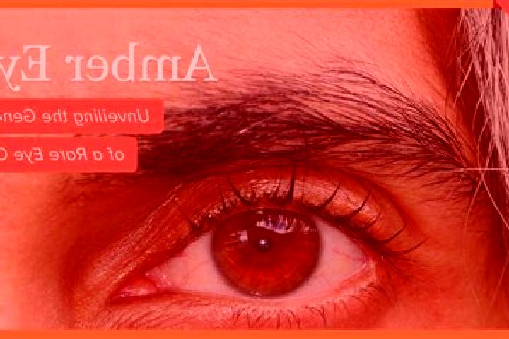 Sophia, 20, a red amber-eyed caucasian companion based in Orangevale. Offering Couples, BDSM, Girlfriend Experience. Available for incall and outcall, day an...