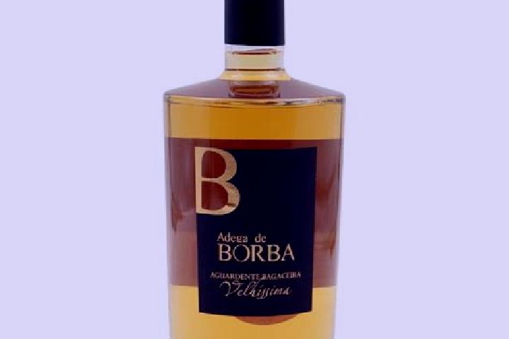 Sophia, 20 — Escort in Borba, Portugal
