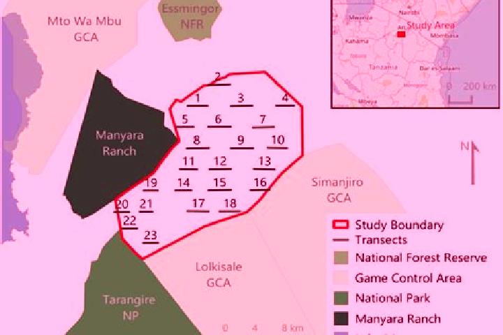 Sophia, 20 — Escort in Makuyuni, Tanzania