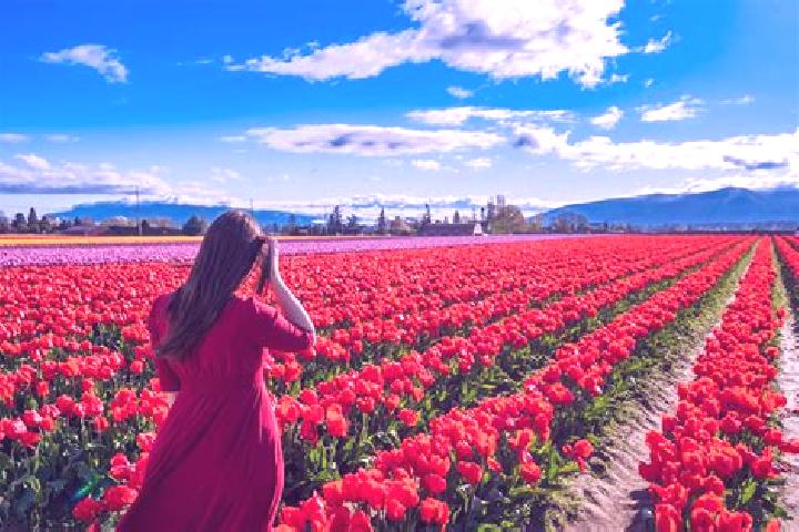Sophia, 20 — Escort in Old Washington, United States