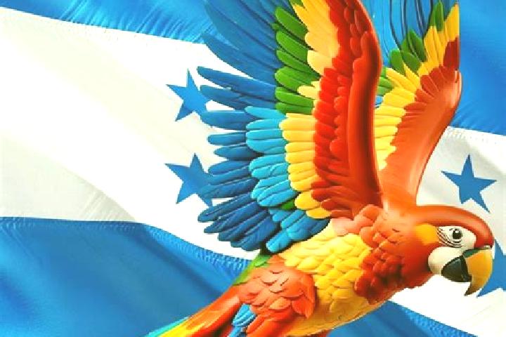 Sophia, 20 — Escort in Tikiraya, Honduras