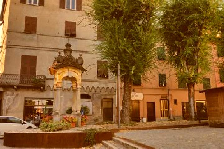 Sophia, 21 — Escort in Arquata Scrivia, Italy
