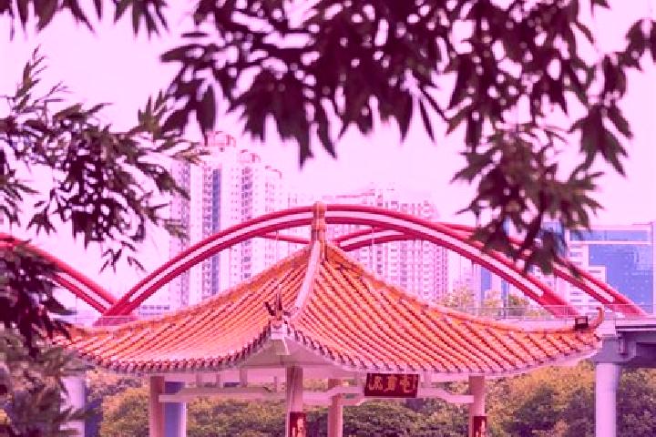 Sophia, 21 — Escort in Honghu, China