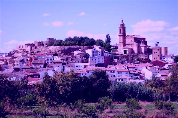 Sophia, 21 — Escort in La Puebla de Hijar, Spain