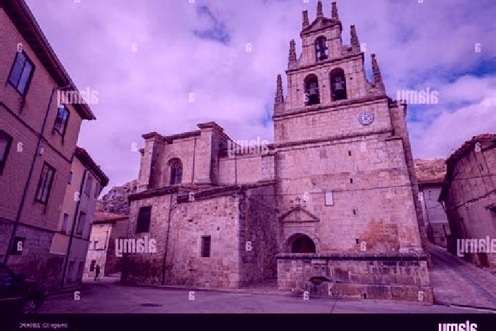 Sophia, 21 — Escort in Monasterio de Rodilla, Spain